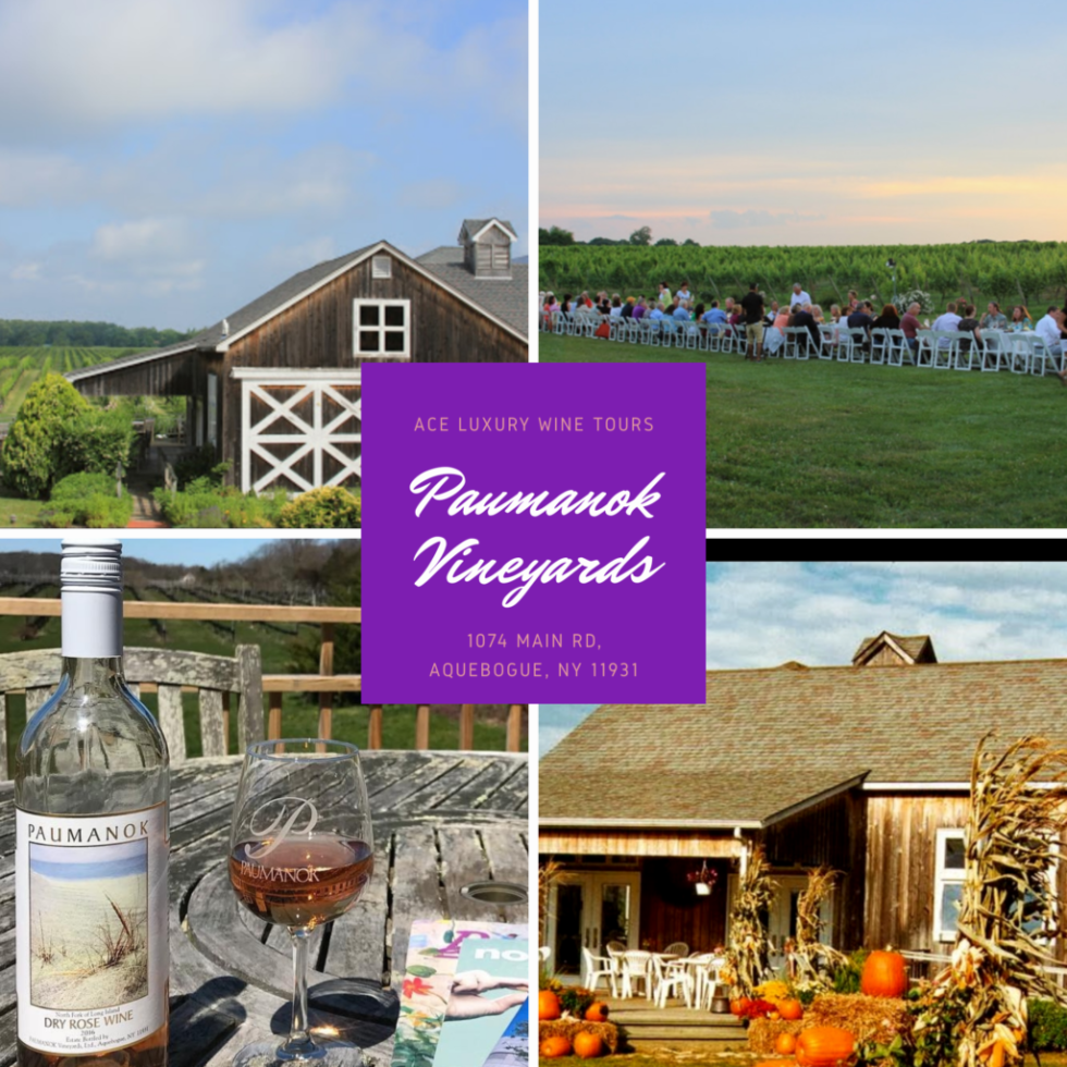 Paumanok Vineyards | North Fork Wineries | Long Island Wine Tours